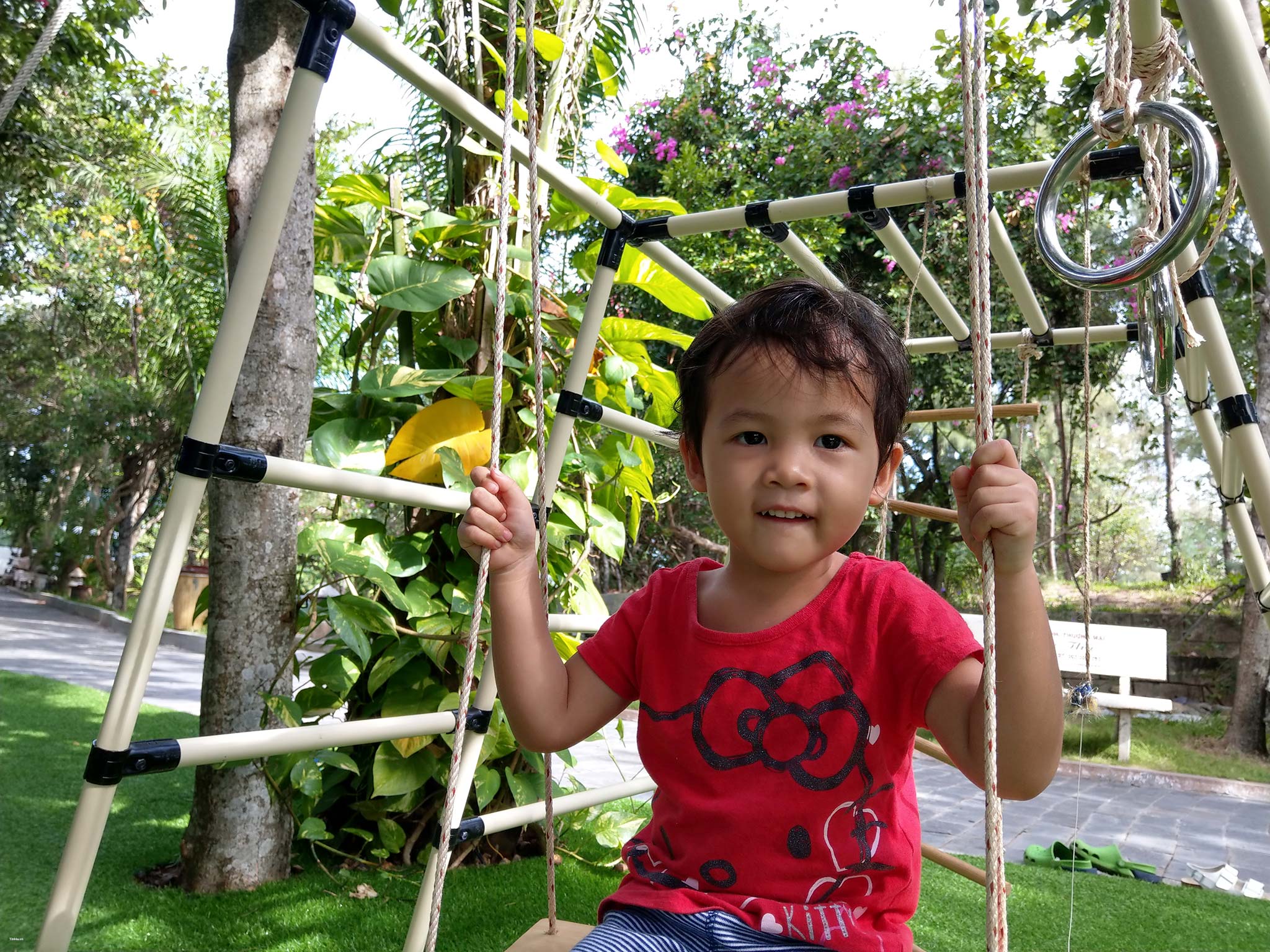 Đang tải IMAG0178.jpg…